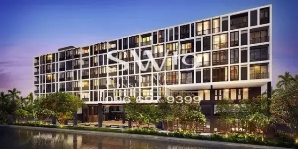 HASU HAUS (JJ1244)